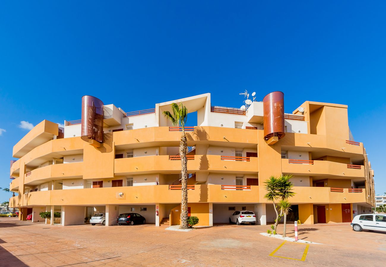 Апартаменты на Торревьеха / Torrevieja - ID43