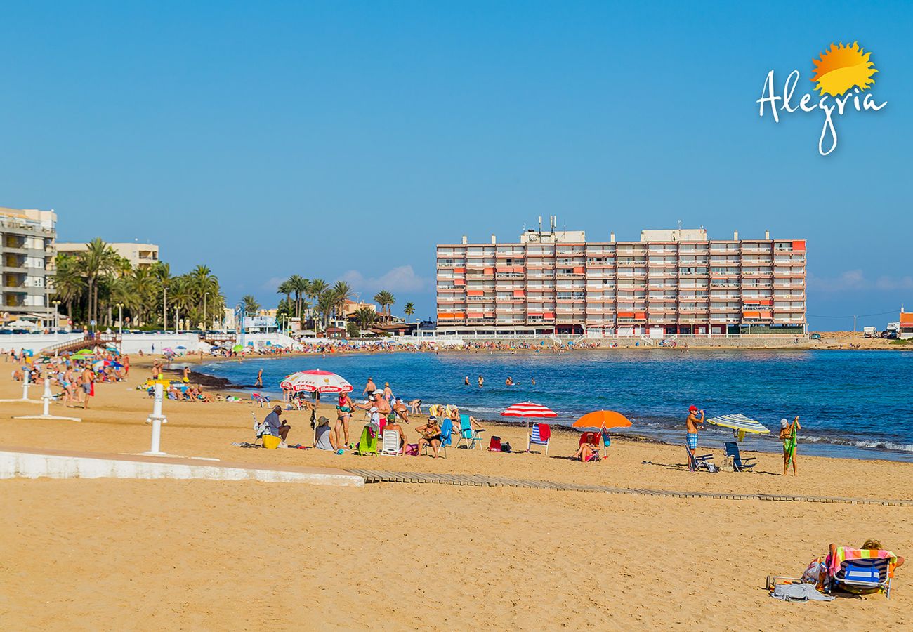 Апартаменты на Торревьеха / Torrevieja - ID179